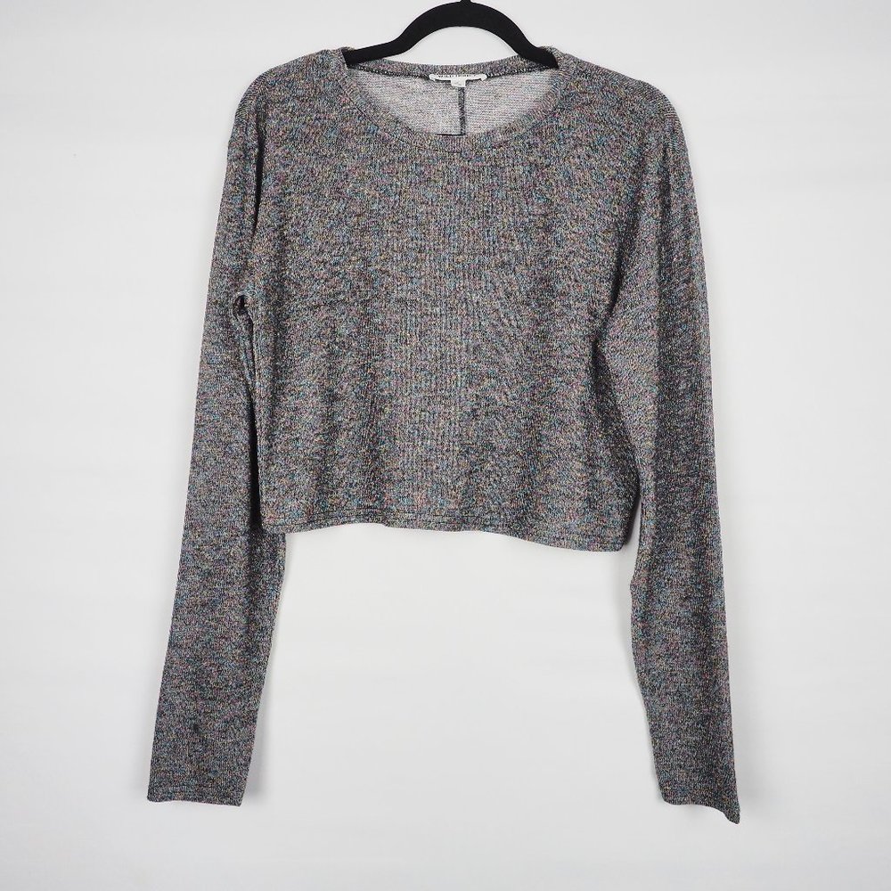 Wild Honey Cropped Long Sleeve Top Gray Shimmer L